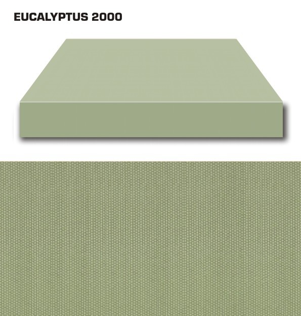 EUCALYPTUS 2000