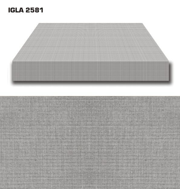 IGLA 2581